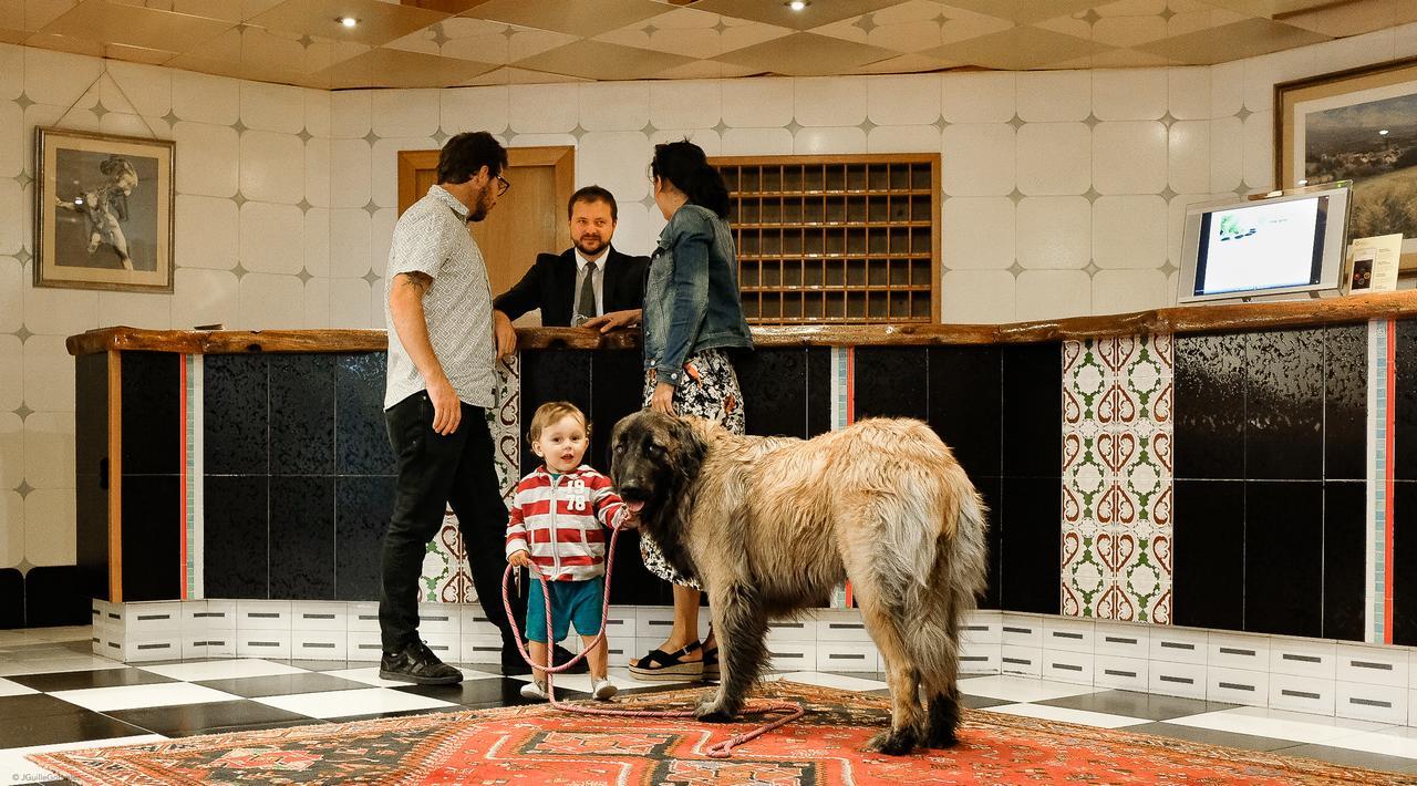 Hotel & Spa Llop Gris El Tarter Zewnętrze zdjęcie